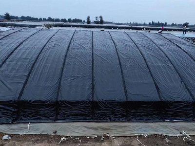 �߲˴��ﱣ�ر�